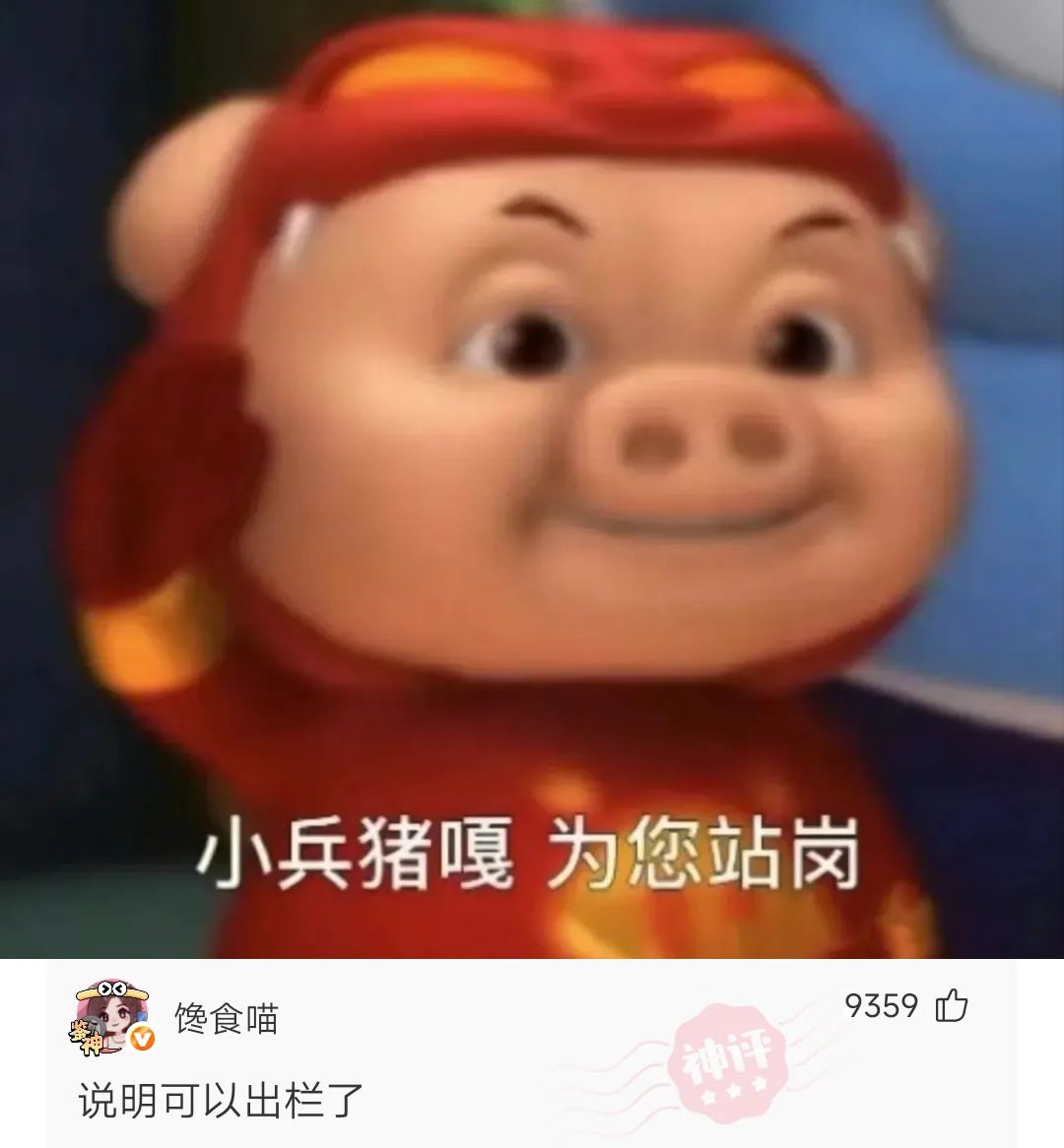 5asu5l.jpg