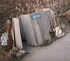 il9l2d.gif