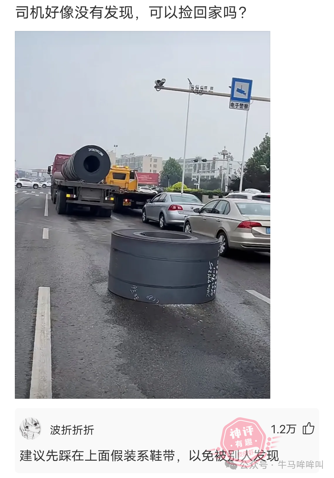 jnle6a.jpg