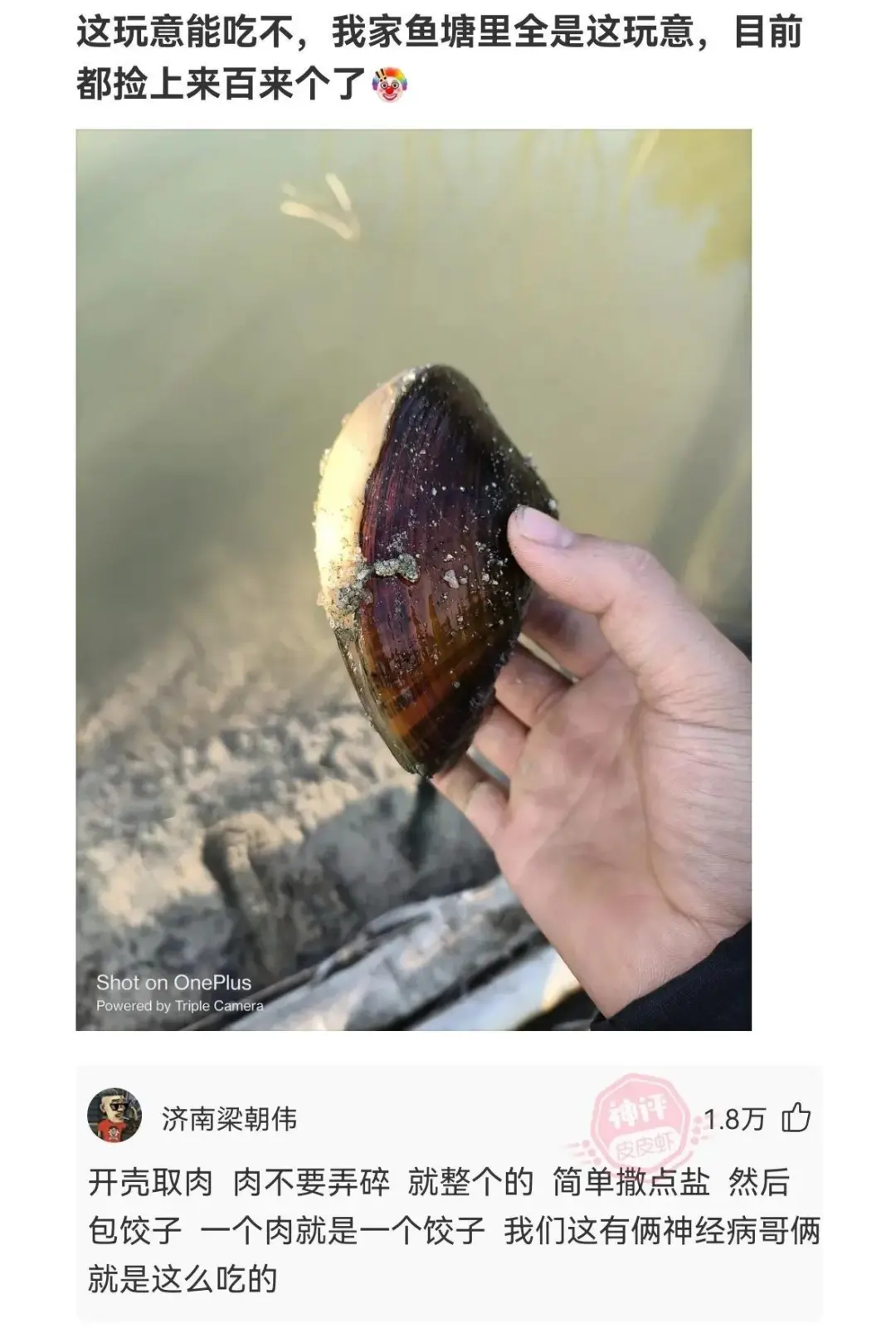 30rdio.jpg