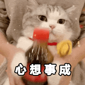 65e9272a302cb51c616f296e48cb3aa6.gif