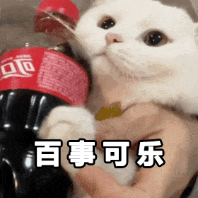 bb84fff4b7989d3d142e109420f48da5.gif