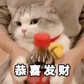 dd6f2a7c799c703700a8631124944327.gif