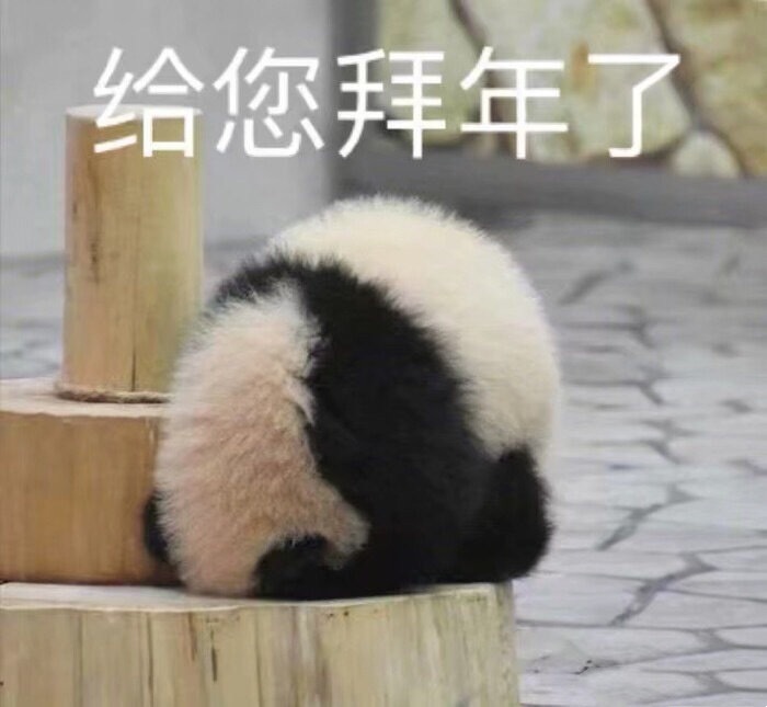 006qOO1Xly1gyx2u62shmj30jg0hx75q.jpg