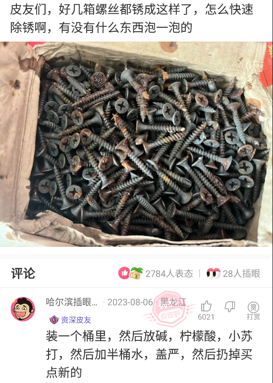 1yb9sg.jpg