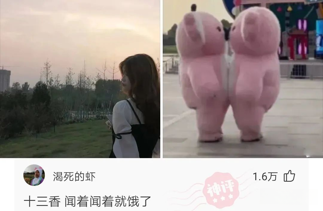wsit1s.jpg