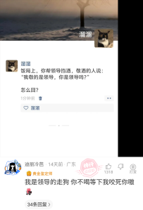 【神回复】三春花满香如海，八月涛来水作山