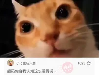 【神回复】人家郎才女貌，用不着你这个妖怪反对~