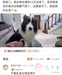 【神回复】我的面前有五位姑娘，一个是我的，另外四个也是我的