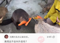 【神回复】我已经开始期待夏天了！