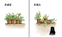 【二次元漫画】养猫和无猫的区别