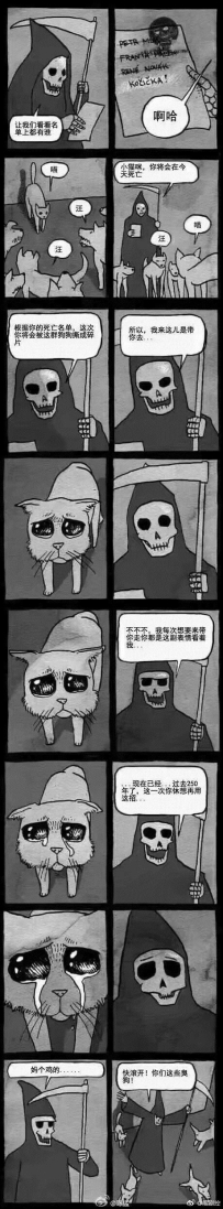 【二次元漫画】现在知道猫为什么有九条命了吧